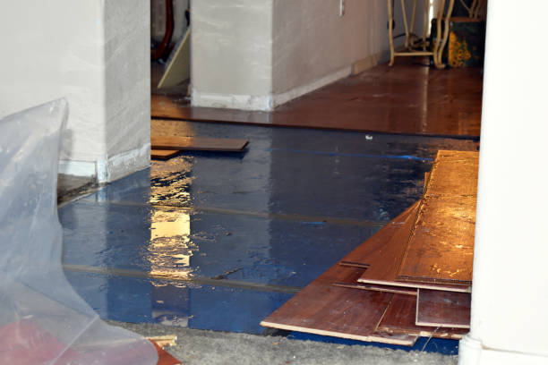 Professional Flood Damage Restoration technician working in Valley View, TX